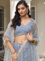 Light Blue Gray Butterfly Net Lehenga Choli